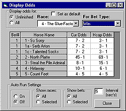 Display Odds - Sample Window (12688 bytes)
